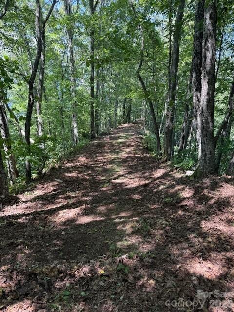 5379 Preserve Road, Unit 189 Sylva, NC 28779 - Photo 6 of 6 a view of outdoor space and yard