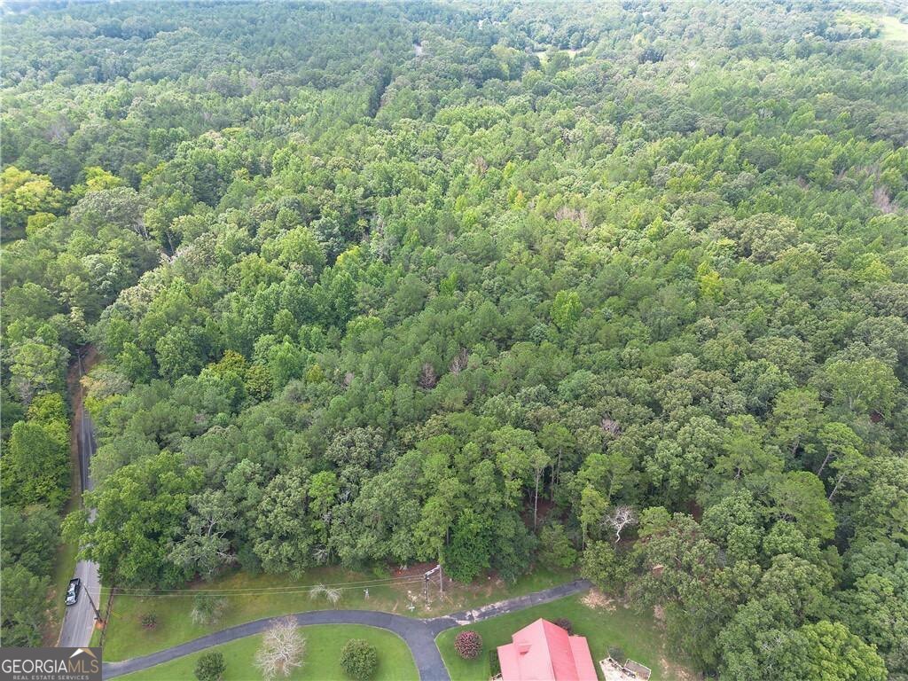 0 Weissinger Road Southwest Kingston, GA 30145 - Photo 10 of 10 Gallery Image 10