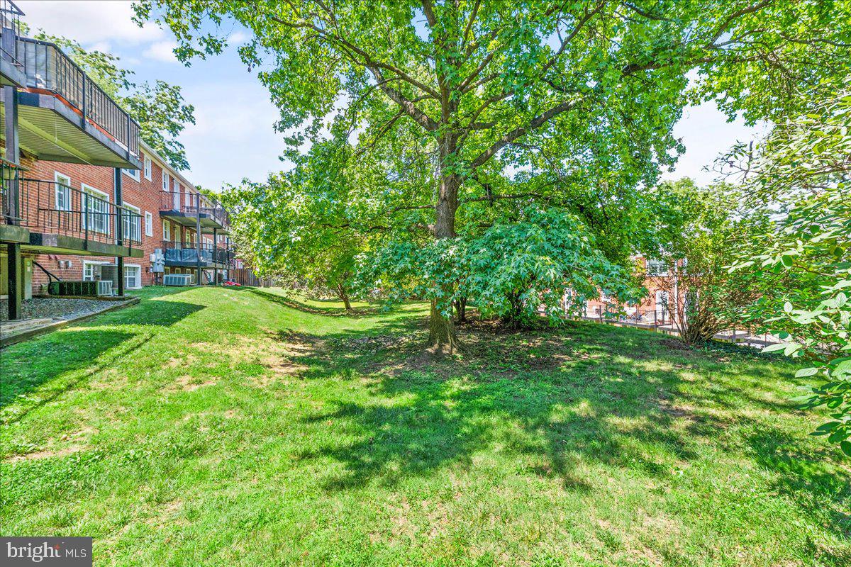 4608 28th Road South Arlington, VA 22206 - Photo 28 of 29 back
