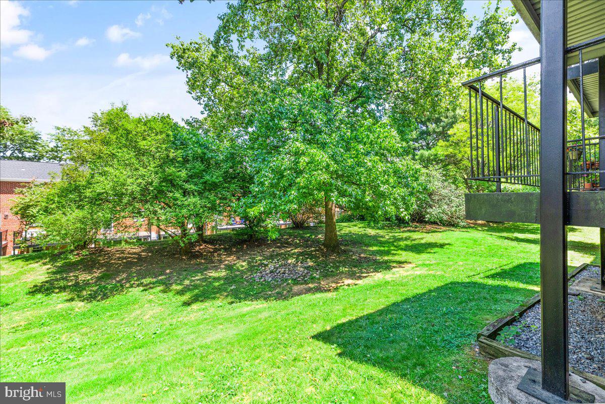 4608 28th Road South Arlington, VA 22206 - Photo 29 of 29 back