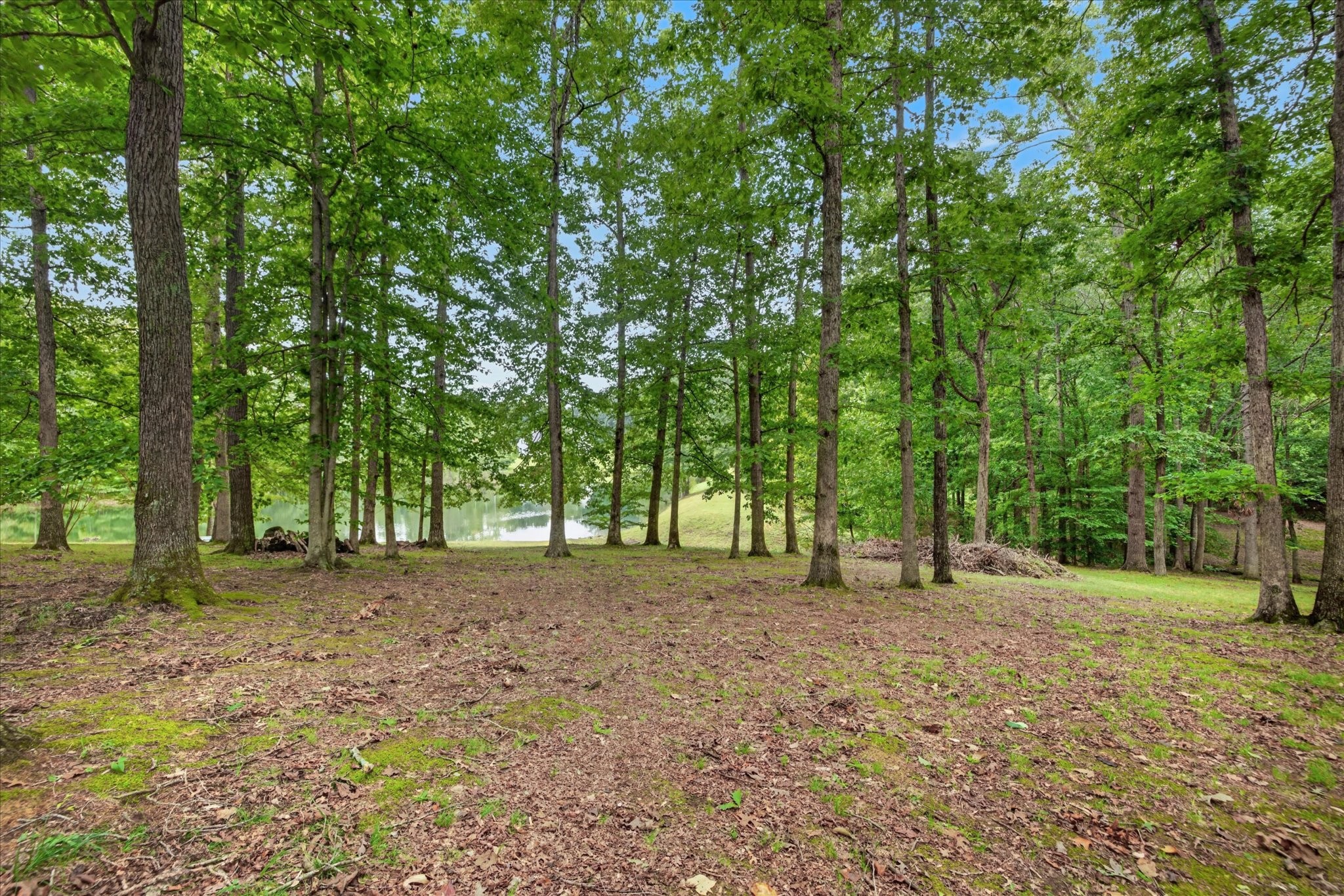 175 Castleton Cove Paris, TN 38242 - Photo 44 of 52 Gallery Image 44