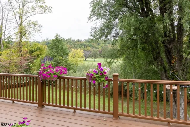 a view of a flower garden