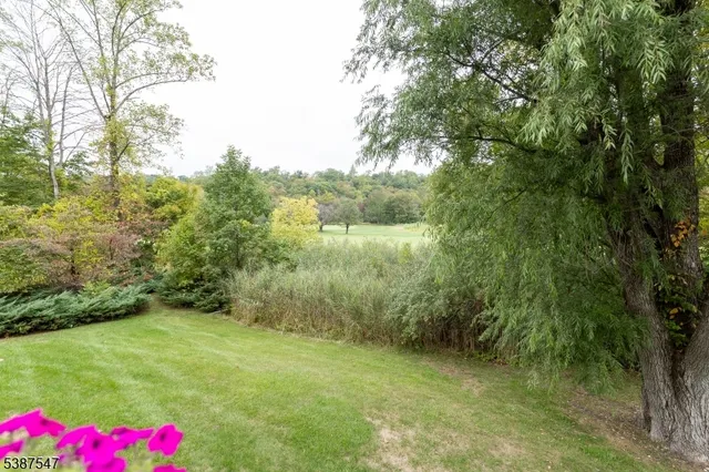a view of an outdoor space and a yard