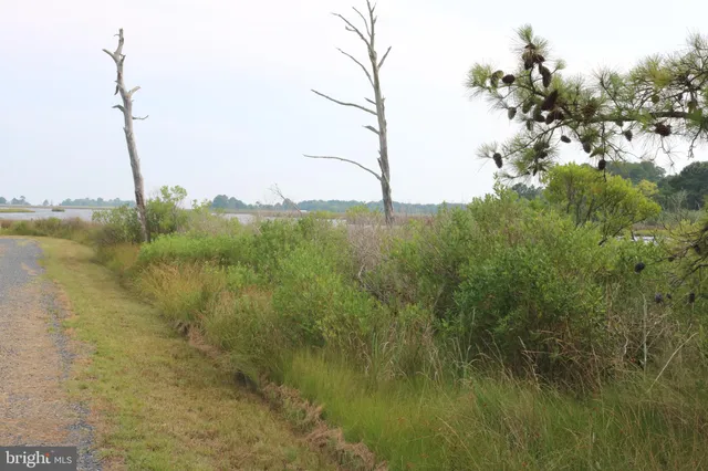 a view of a lake with a mountain in the background