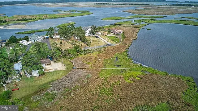 a view of a yard with an outdoor space