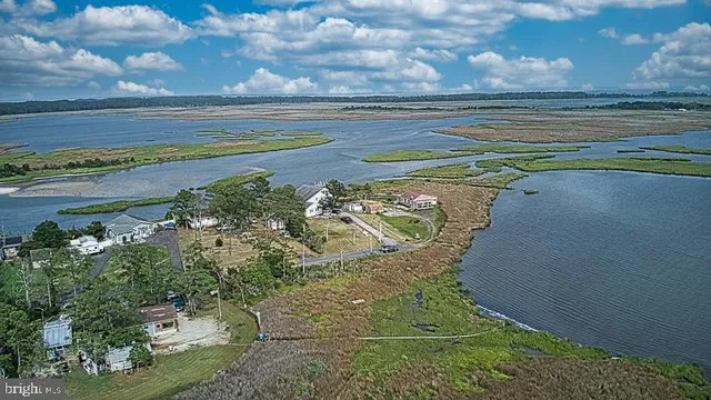 a view of a swimming pool with a yard