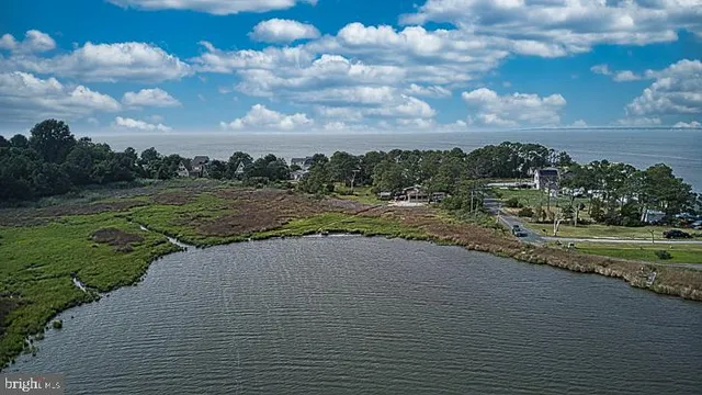 a view of a road and yard