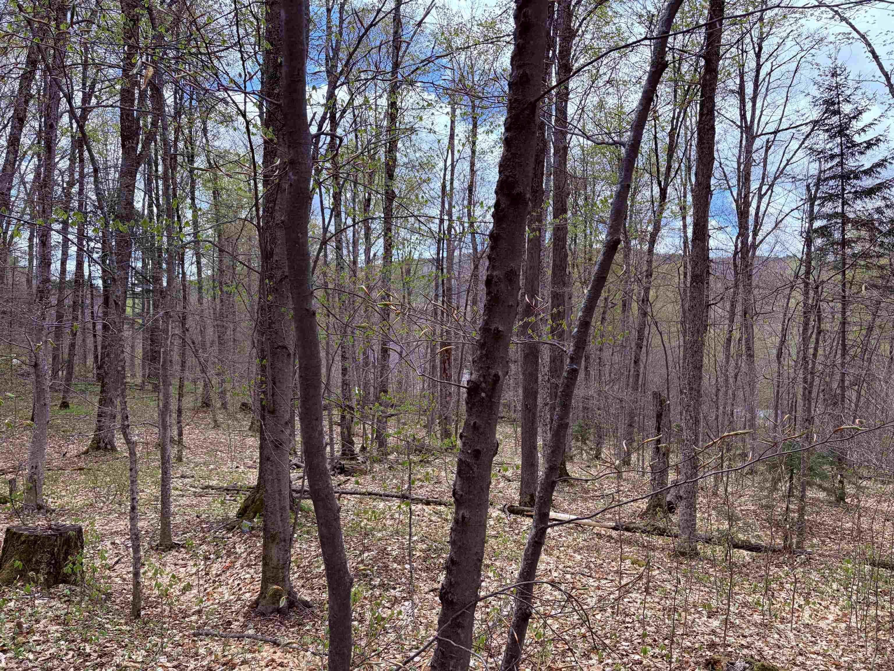 Tbd Boyce Road, Unit 4 Moretown, VT 05660 - Photo 5 of 17