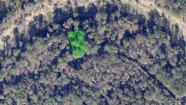 a view of a bunch of trees