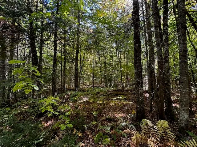 $39,900 | 05 Map So081 Plan Road, Concord Township, ME 04920