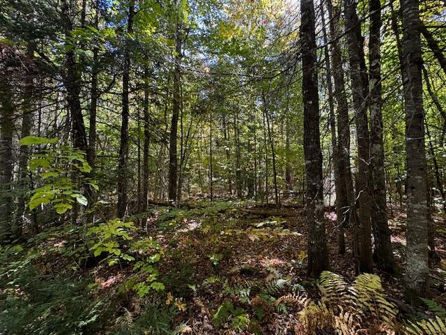 05 Map So081 Plan Road Concord Township, ME 04920 - Photo 4 of 9 IMG_3611