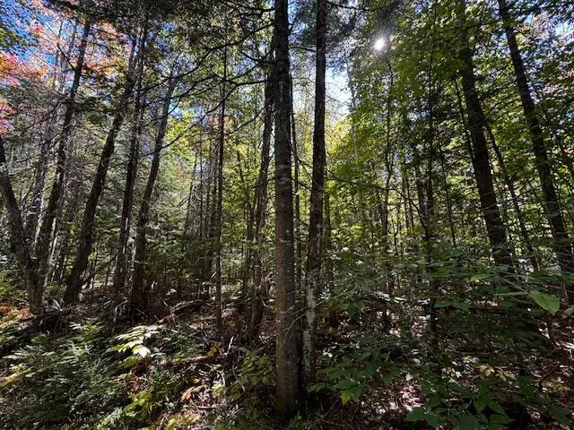$39,900 | 05 Map So081 Plan Road, Concord Township, ME 04920