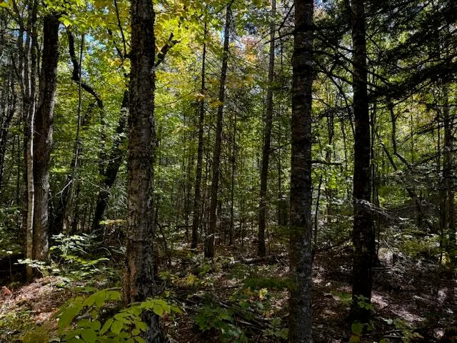 $39,900 | 05 Map So081 Plan Road, Concord Township, ME 04920