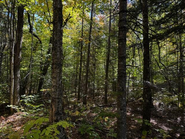 05 Map So081 Plan Road Concord Township, ME 04920 - Photo 6 of 9 IMG_3610