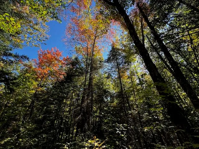 $39,900 | 05 Map So081 Plan Road, Concord Township, ME 04920