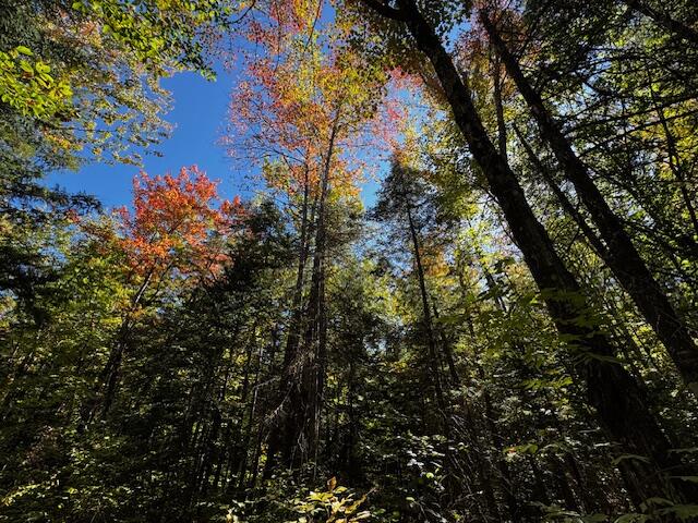 05 Map So081 Plan Road Concord Township, ME 04920 - Photo 7 of 9 IMG_3613