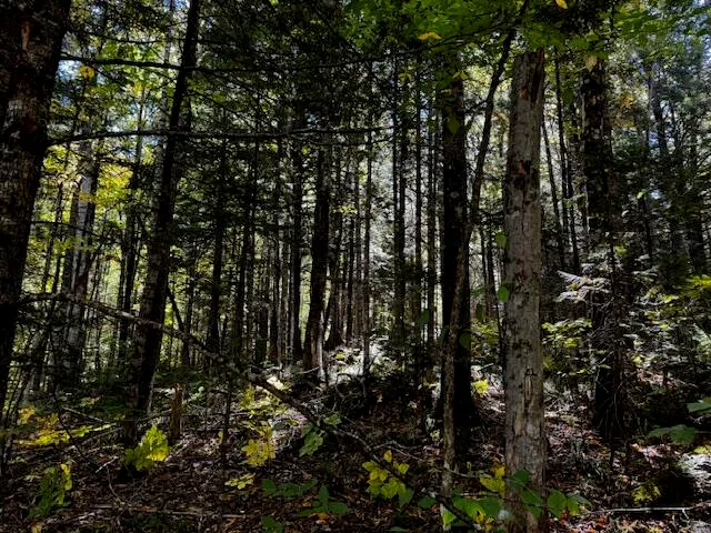 $39,900 | 05 Map So081 Plan Road, Concord Township, ME 04920