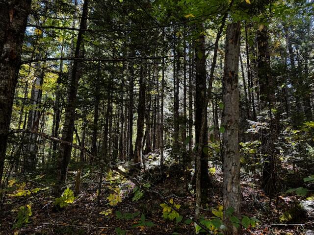 05 Map So081 Plan Road Concord Township, ME 04920 - Photo 8 of 9 IMG_3614