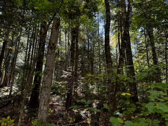 $39,900 | 05 Map So081 Plan Road, Concord Township, ME 04920