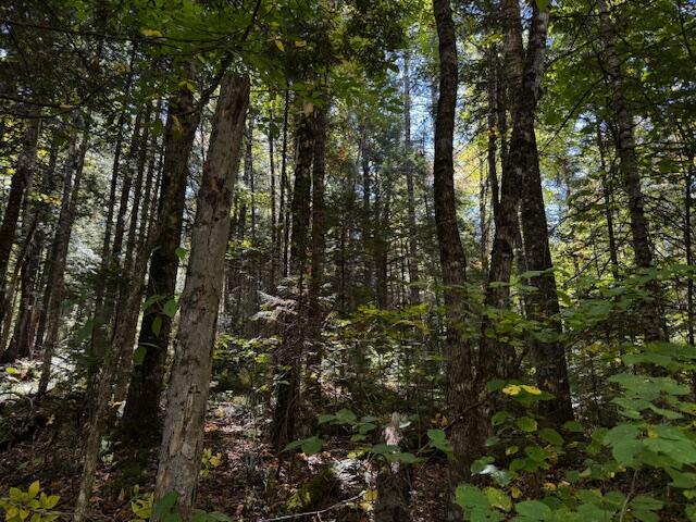 05 Map So081 Plan Road Concord Township, ME 04920 - Photo 9 of 9 IMG_3615