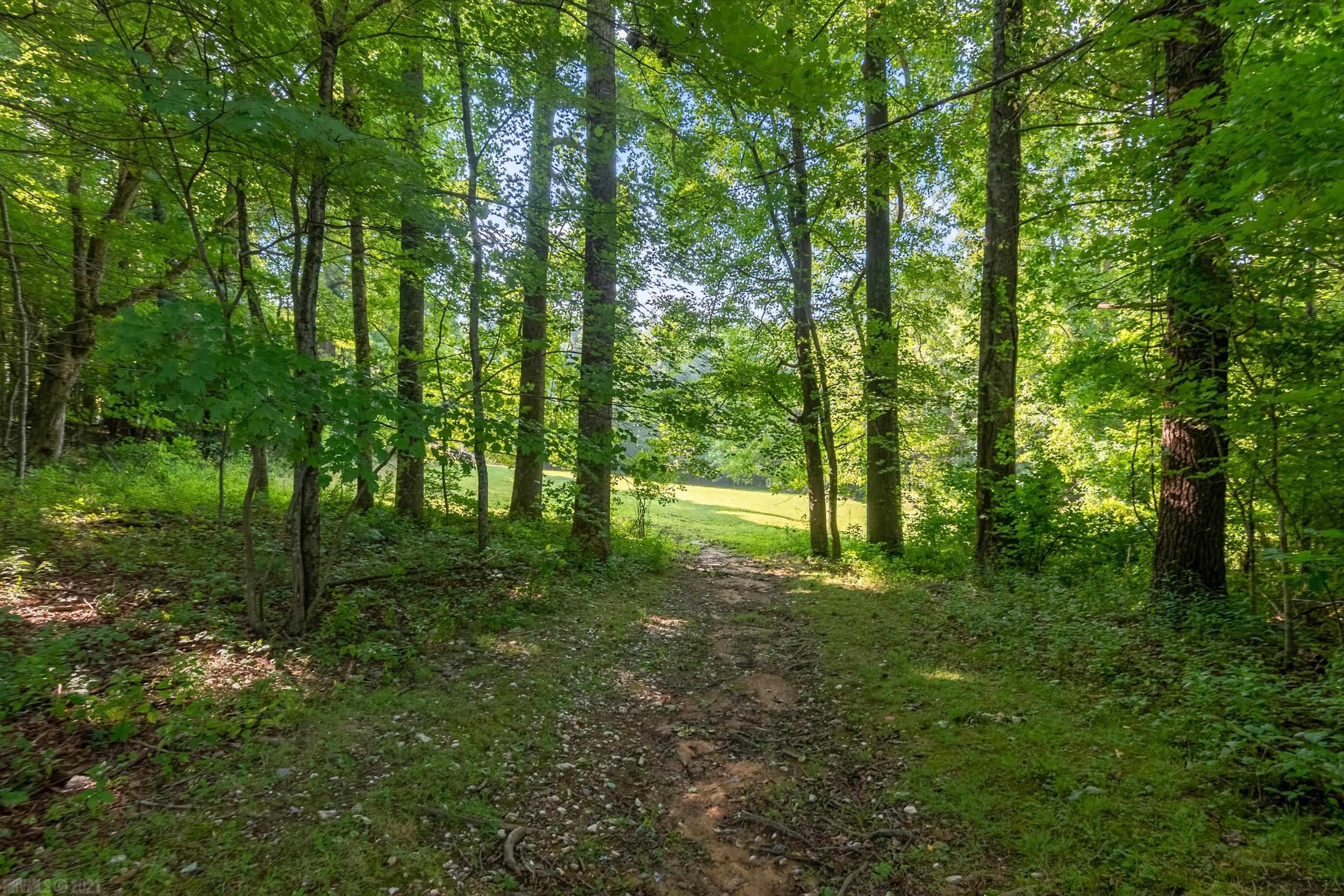 644 Daniels Run Road Northeast Check, VA 24072 - Photo 70 of 75 Gallery Image 70