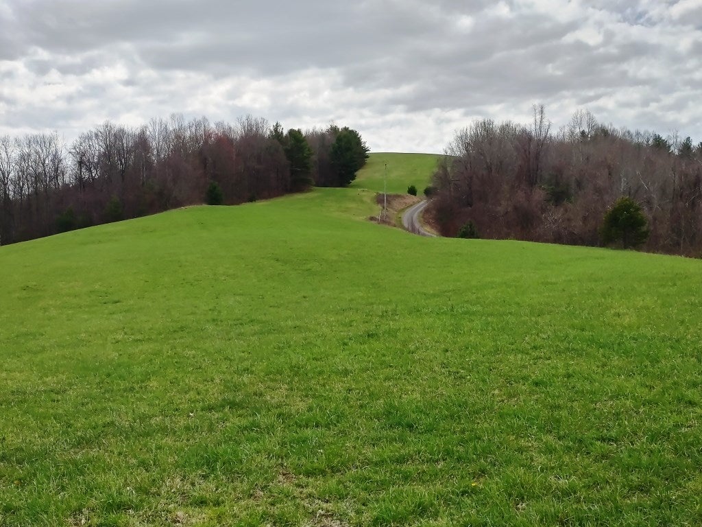 2309 Birchtree Road Hillsville, VA 24343 - Photo 20 of 33 Gallery Image 20