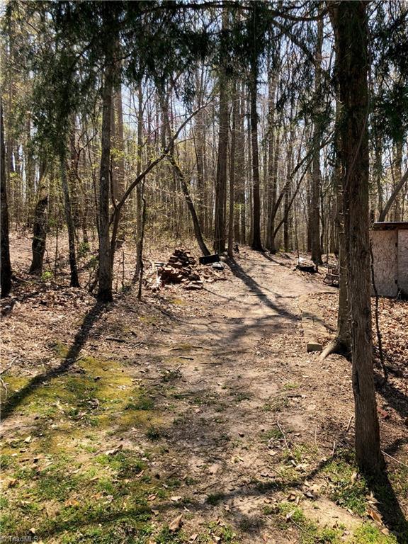 3591 Grubbs Road Walkertown, NC 27051 - Photo 32 of 41 Nice woodsy trail