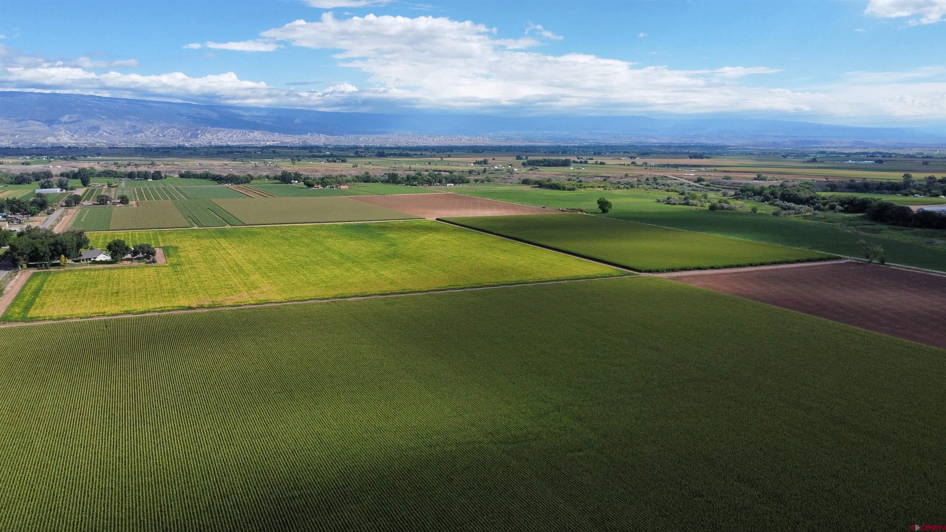 Tbd Banner Road Delta, CO 81416 - Photo 4 of 11