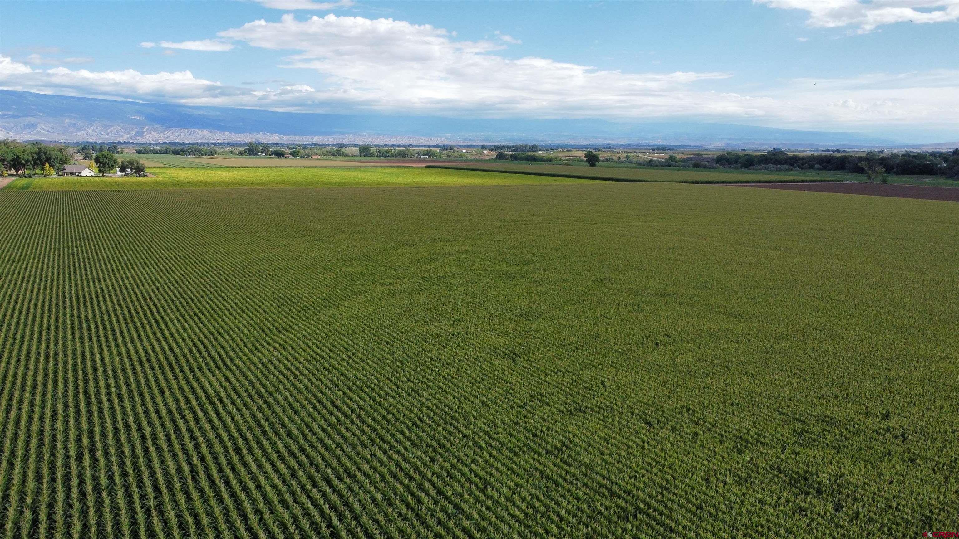 Tbd Banner Road Delta, CO 81416 - Photo 5 of 11