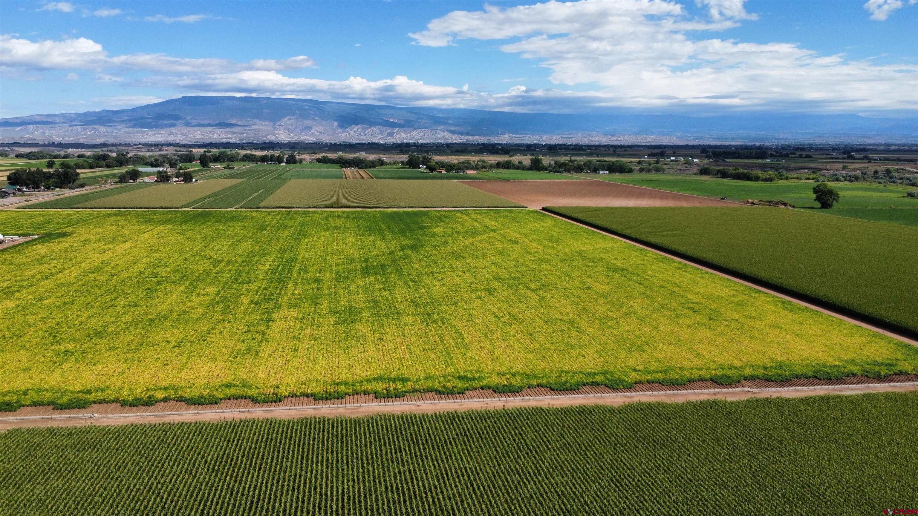 Tbd Banner Road Delta, CO 81416 - Photo 6 of 11