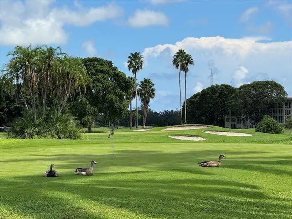 a view of a golf course with a lake