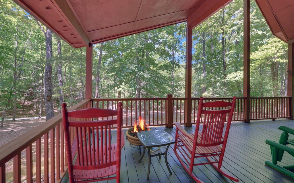 164 Dew Drop Lane Murphy, NC 28906 - Photo 3 of 49