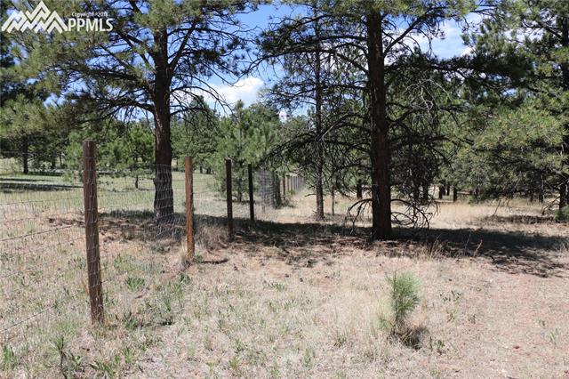 5545 Jason Road Colorado Springs, CO 80908 - Photo 27 of 34