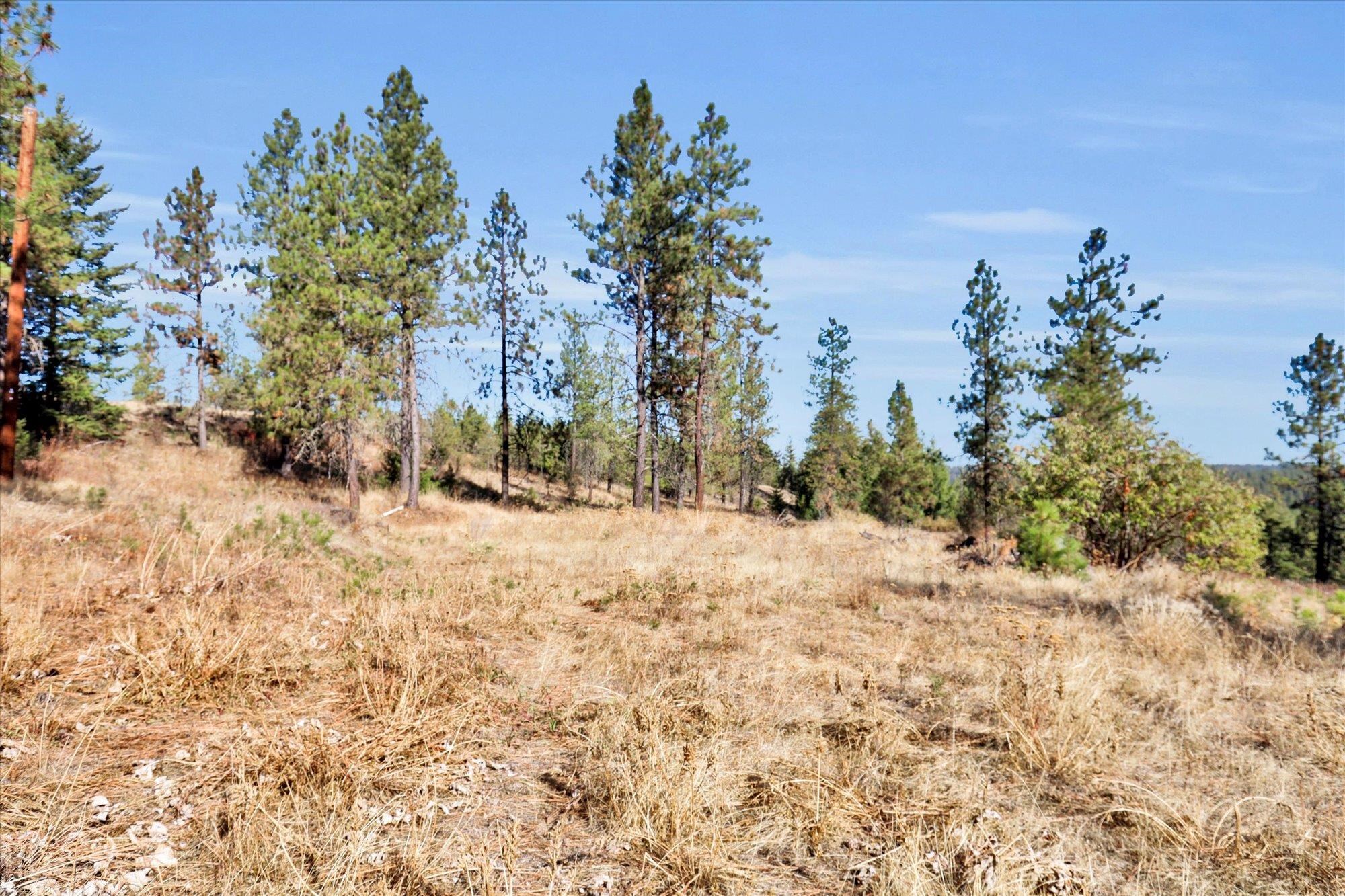 Tbd South Scribner Road, Unit PARCEL #24272 9065 Cheney, WA 99004 - Photo 20 of 26