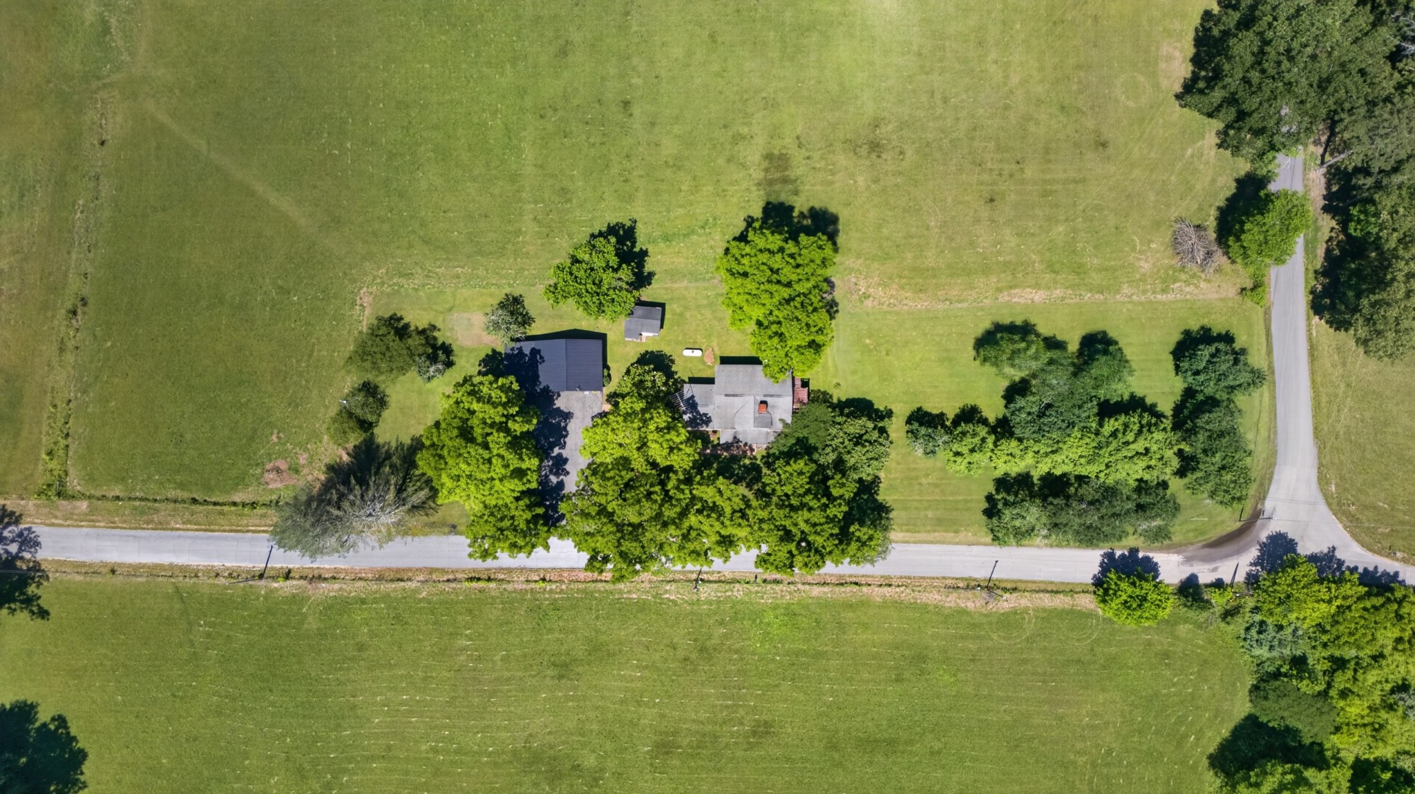 697 Bottom Road Palmer, TN 37365 - Photo 3 of 45
