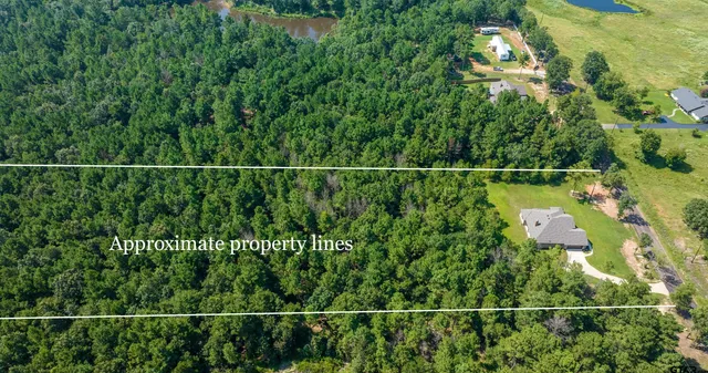 a view of a yard and potted plants