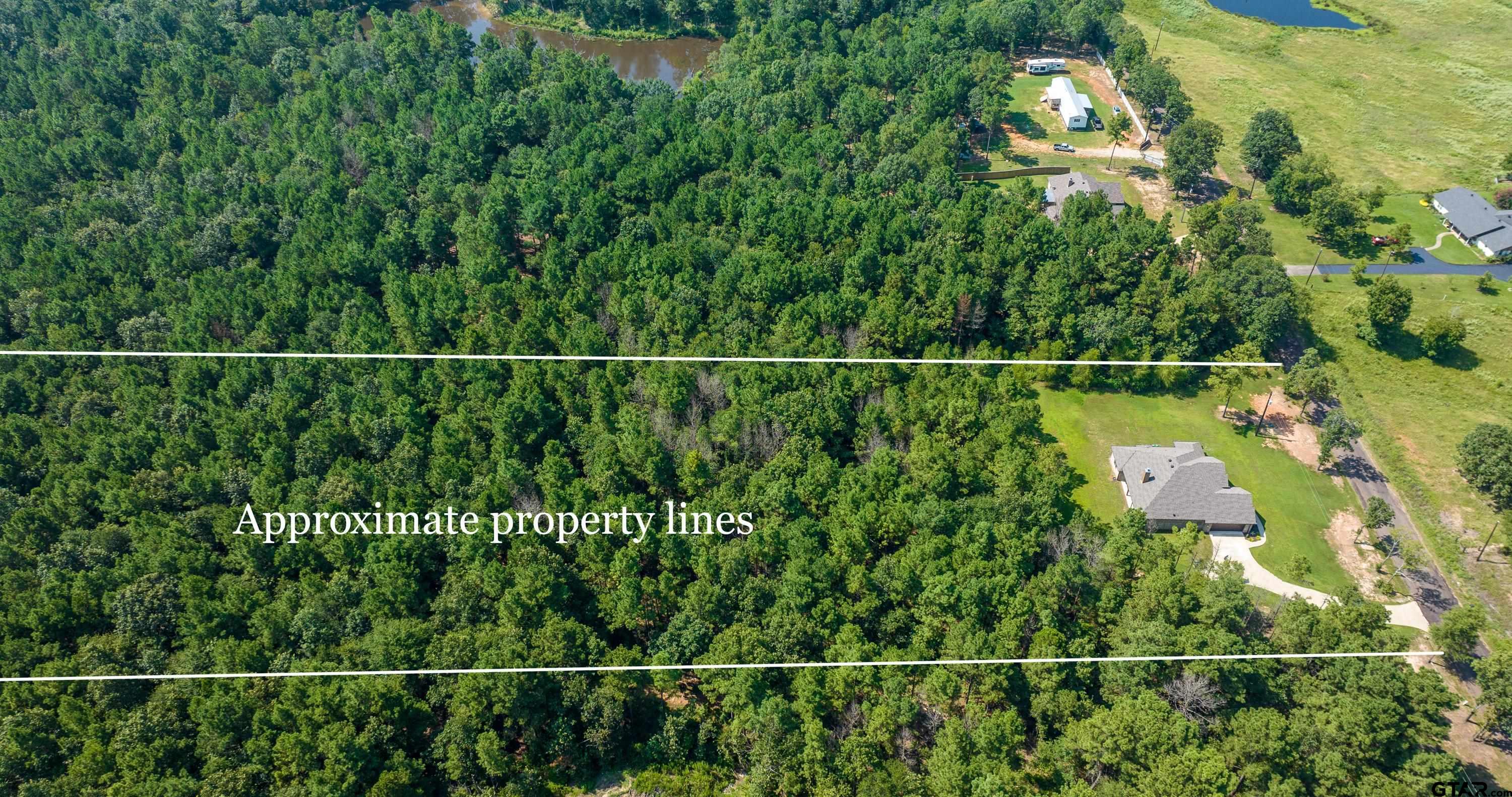 8199 Cr 314 Street South Laneville, TX 75667 - Photo 45 of 47 a view of a yard and potted plants