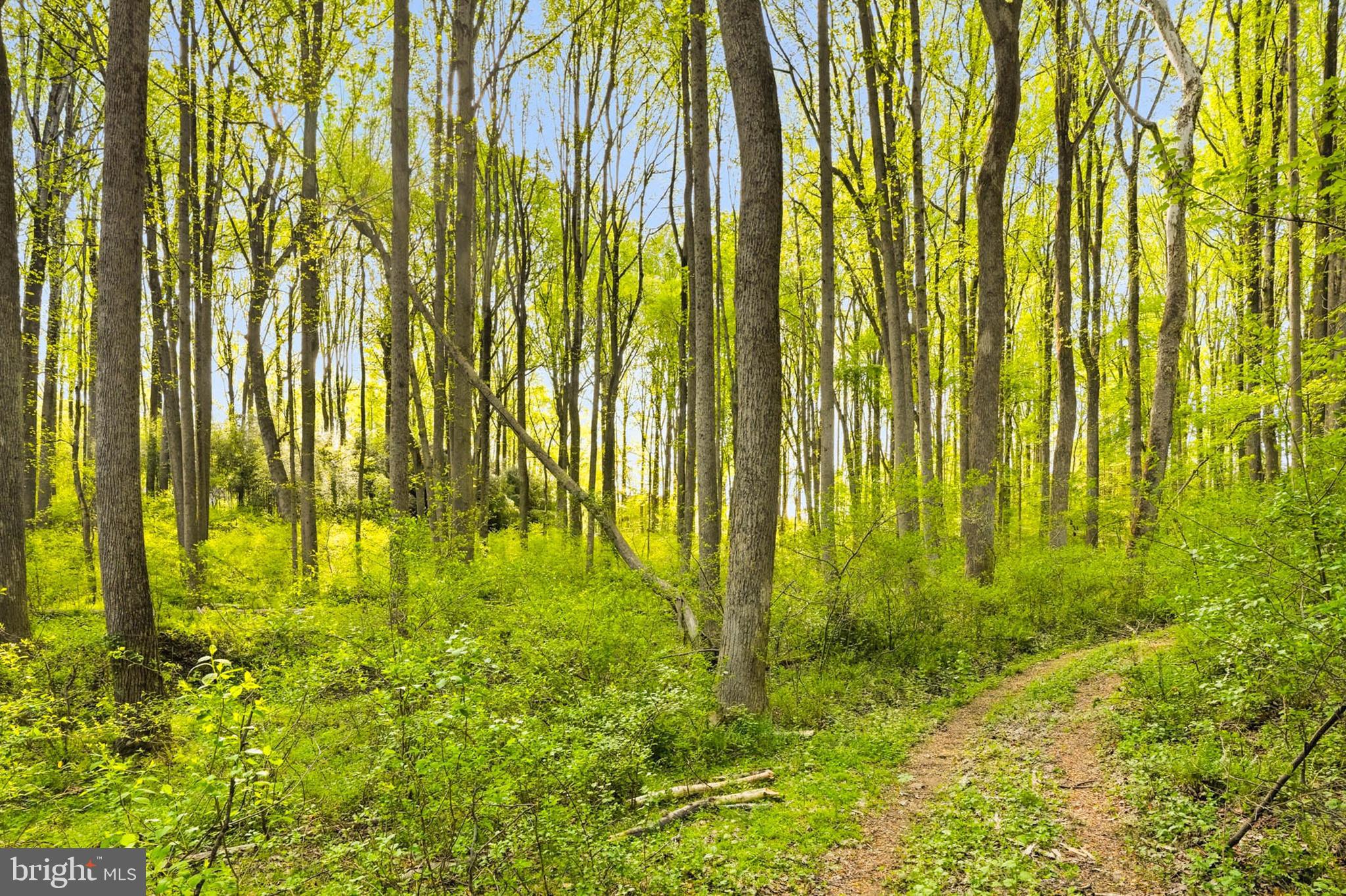 7049 Mink Hollow Road Highland, MD 20777 - Photo 15 of 72