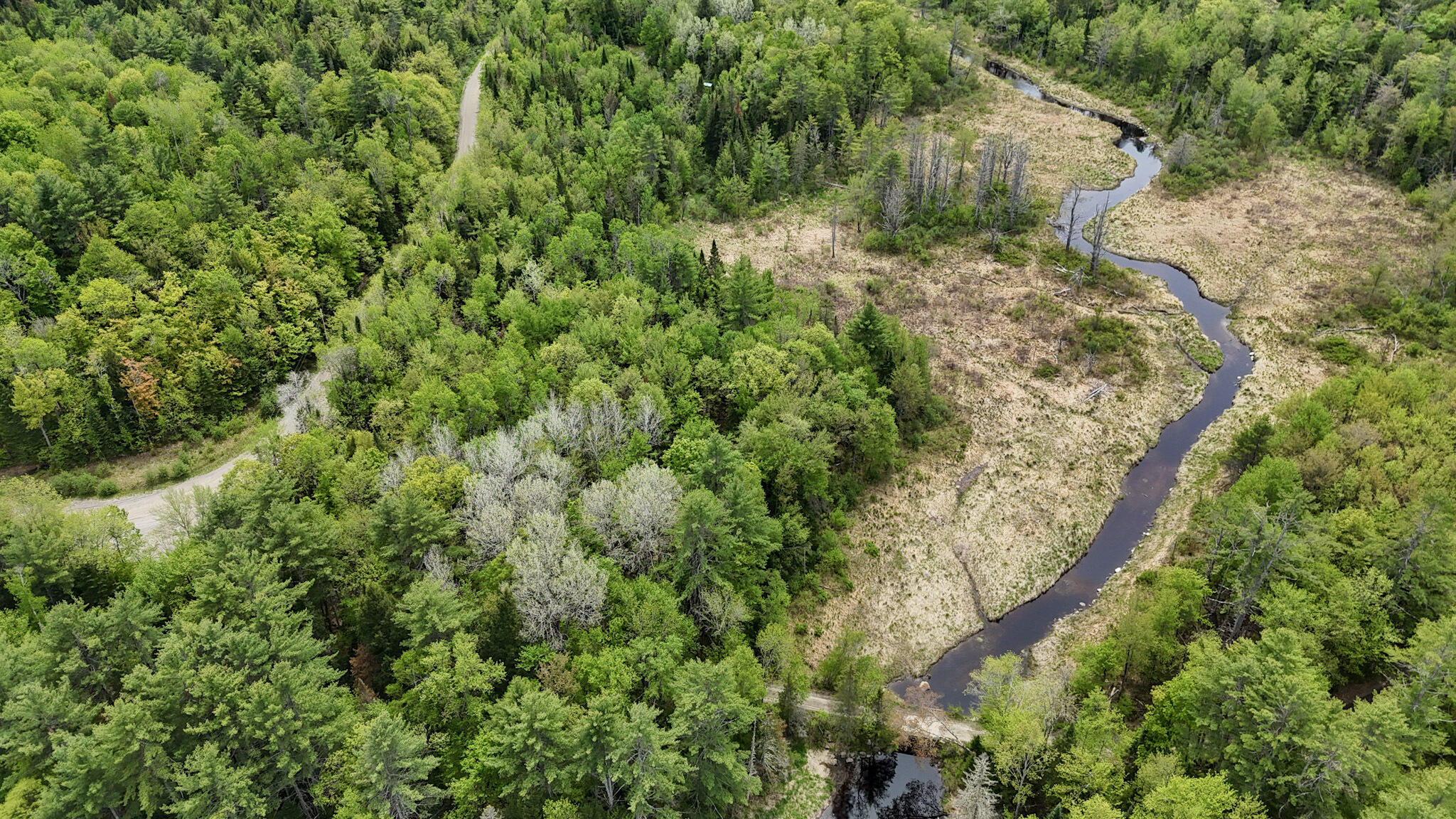 Lot 5 Stream Road Vienna, ME 04360 - Photo 11 of 17 South View