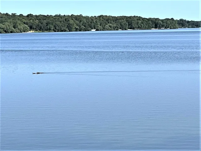 $469,900 | 10007 Alcott Drive, Sauk Centre, MN 56378