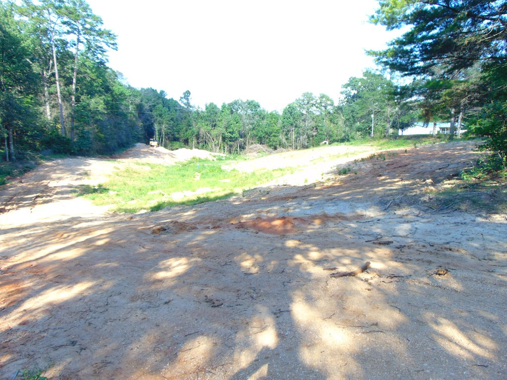 8027 Martinsville Road Wesson, MS 39191 - Photo 7 of 44 Photo 7