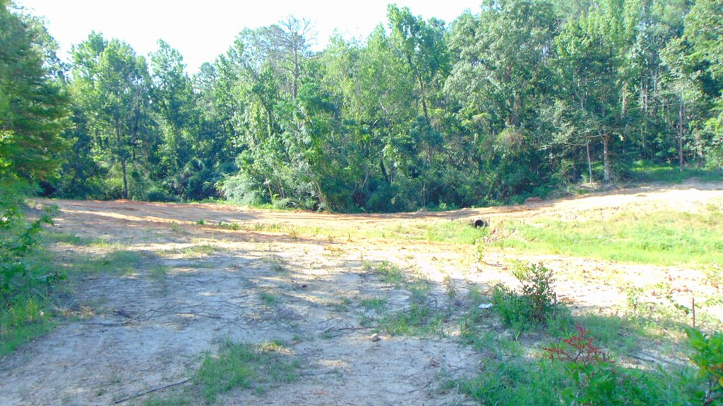 8027 Martinsville Road Wesson, MS 39191 - Photo 9 of 44 Photo 9