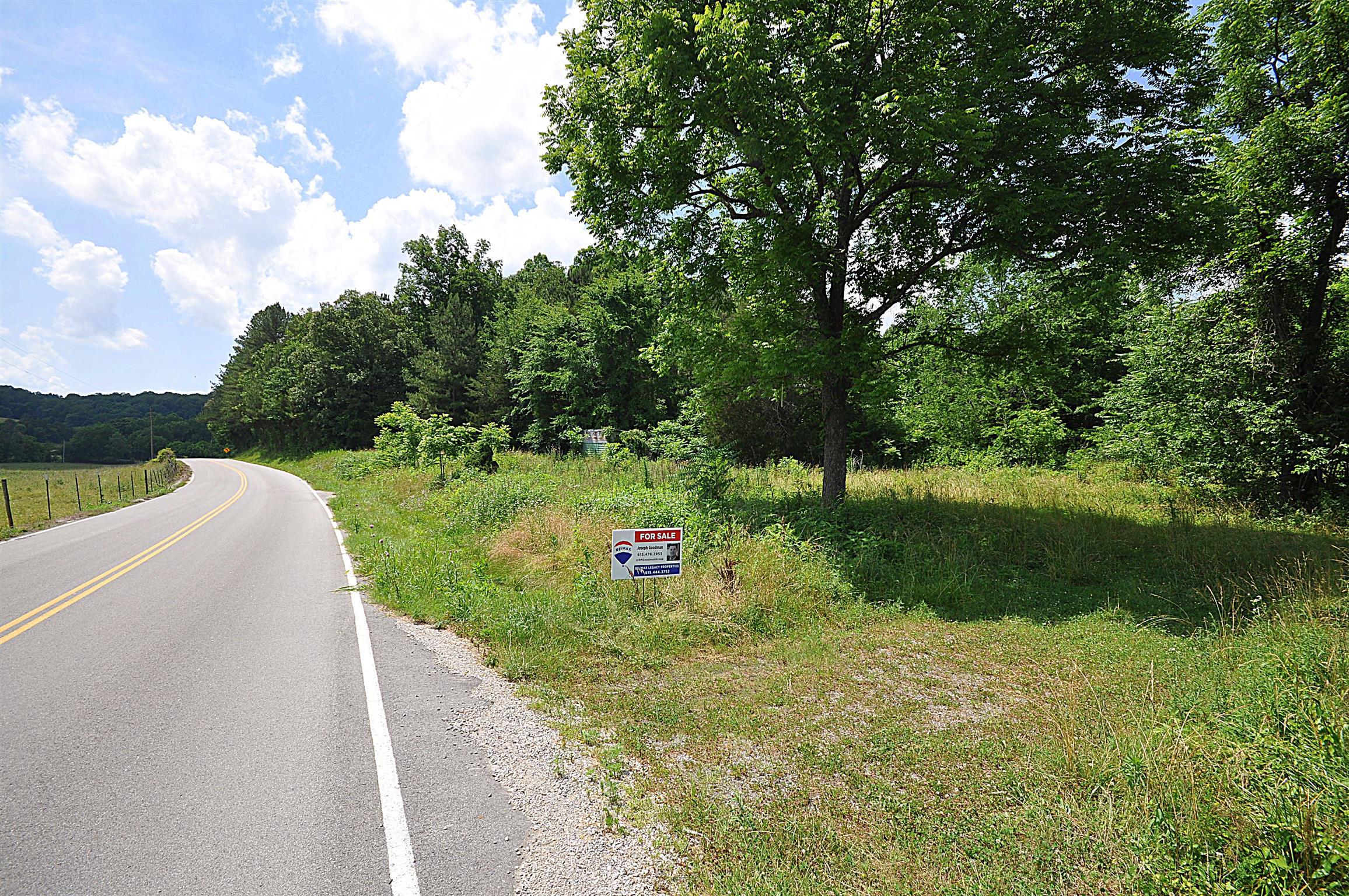 1536 Mack Bean Road Red Boiling Springs, TN 37150 - Photo 29 of 30 a view of a park with large trees