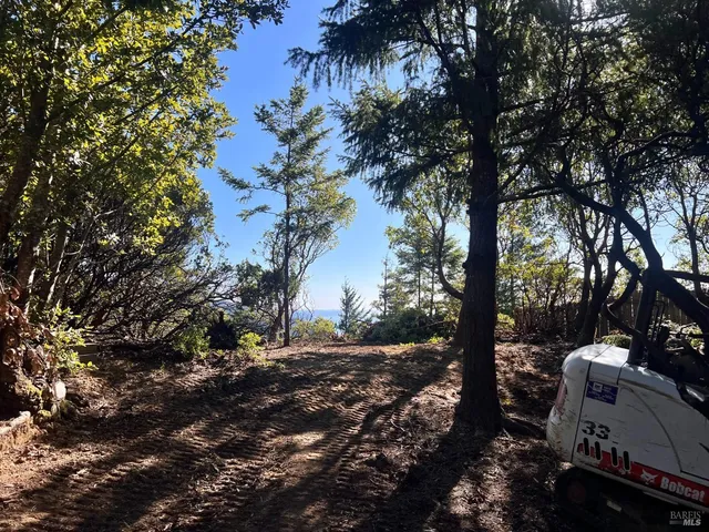 a view of a backyard with large trees