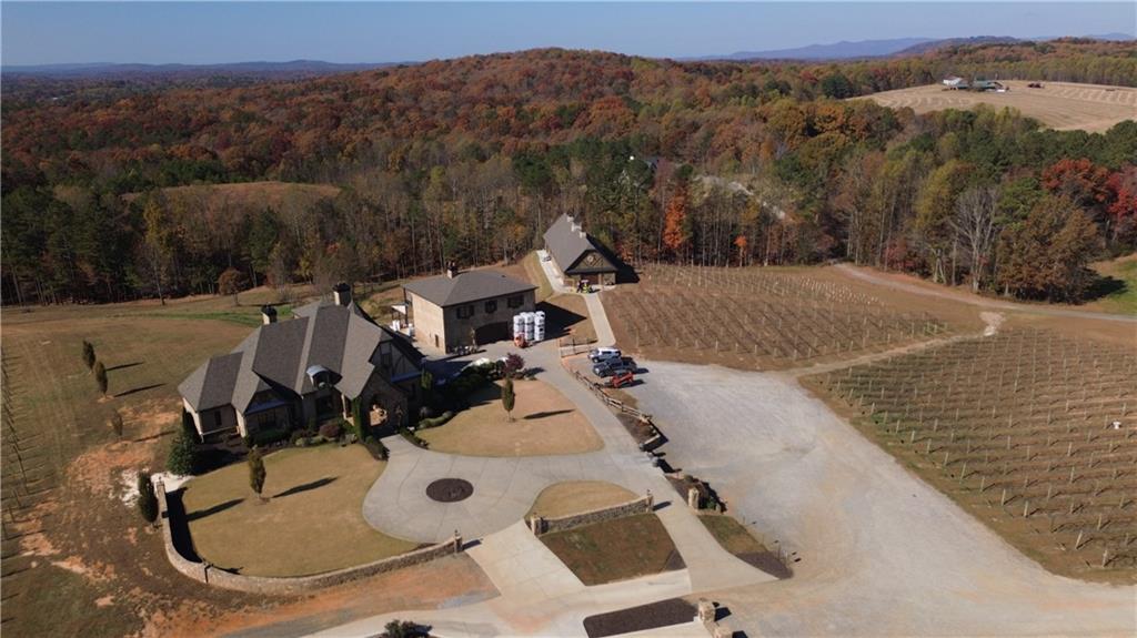 40 High Smt Drive Talking Rock, GA 30175 - Photo 11 of 13 view of house with outdoor space