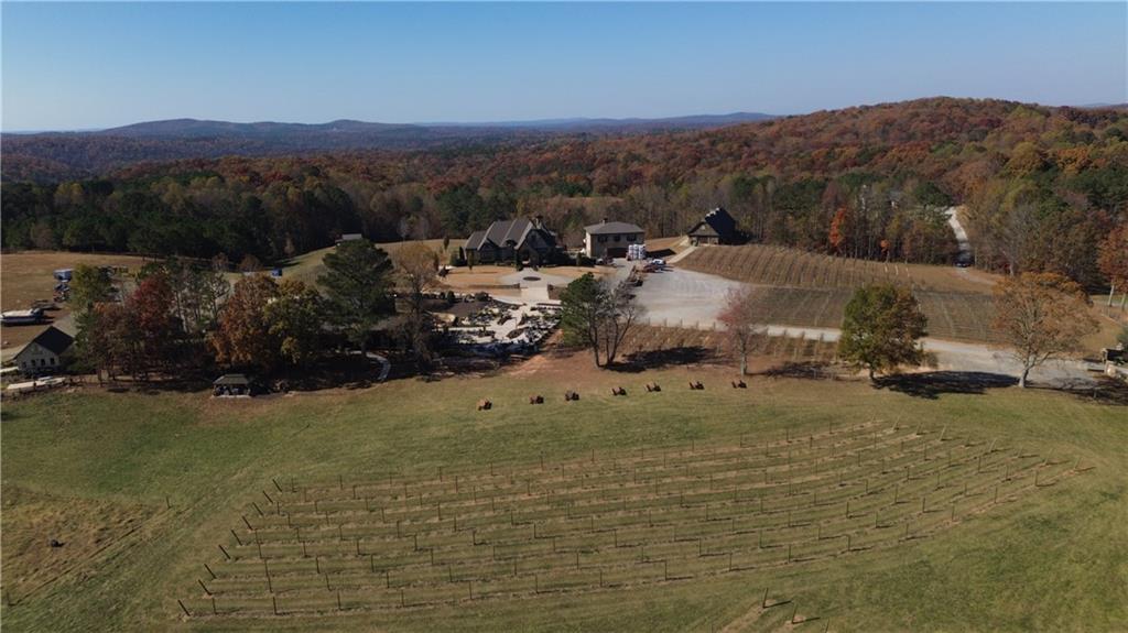 40 High Smt Drive Talking Rock, GA 30175 - Photo 12 of 13 a view of a town with mountains in the background