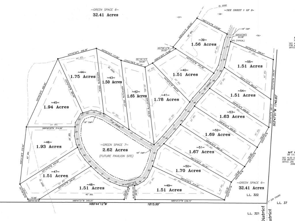 40 High Smt Drive Talking Rock, GA 30175 - Photo 3 of 13 a black and white photo of a painting