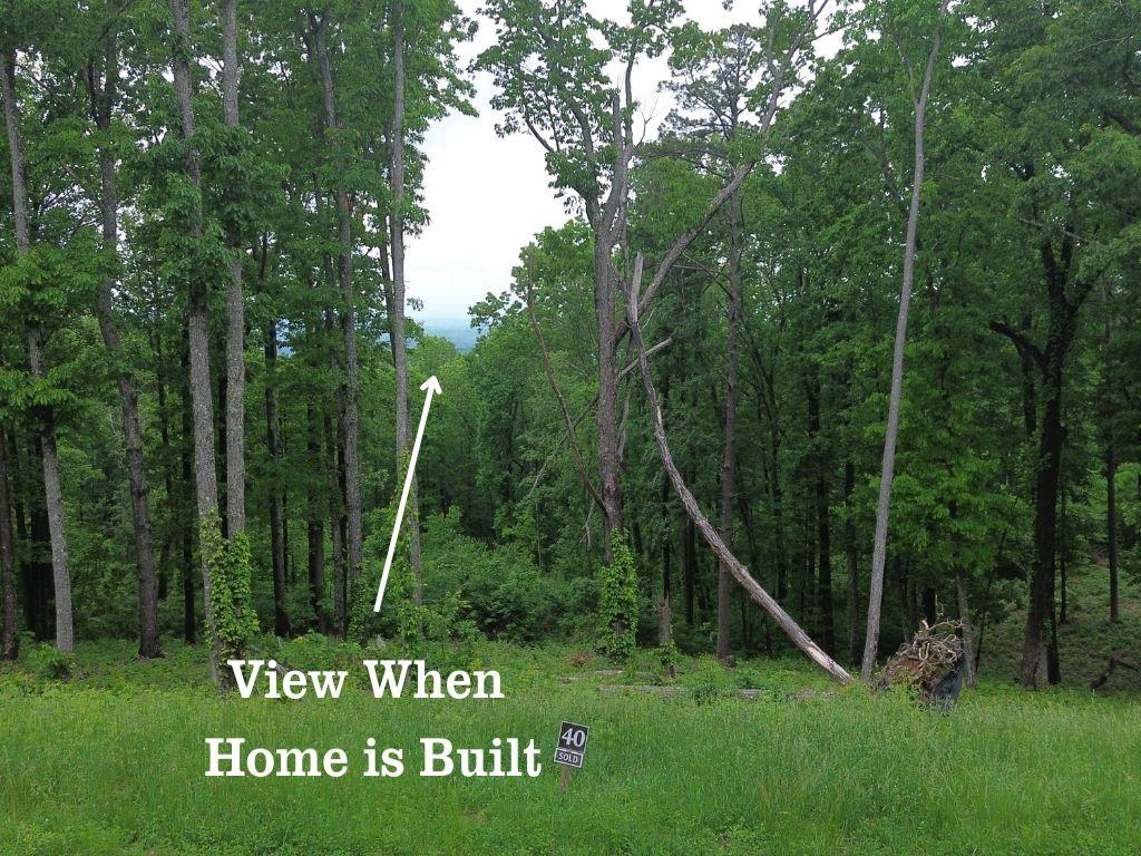 40 High Smt Drive Talking Rock, GA 30175 - Photo 9 of 13 a view of an outdoor space with a garden and entertaining space