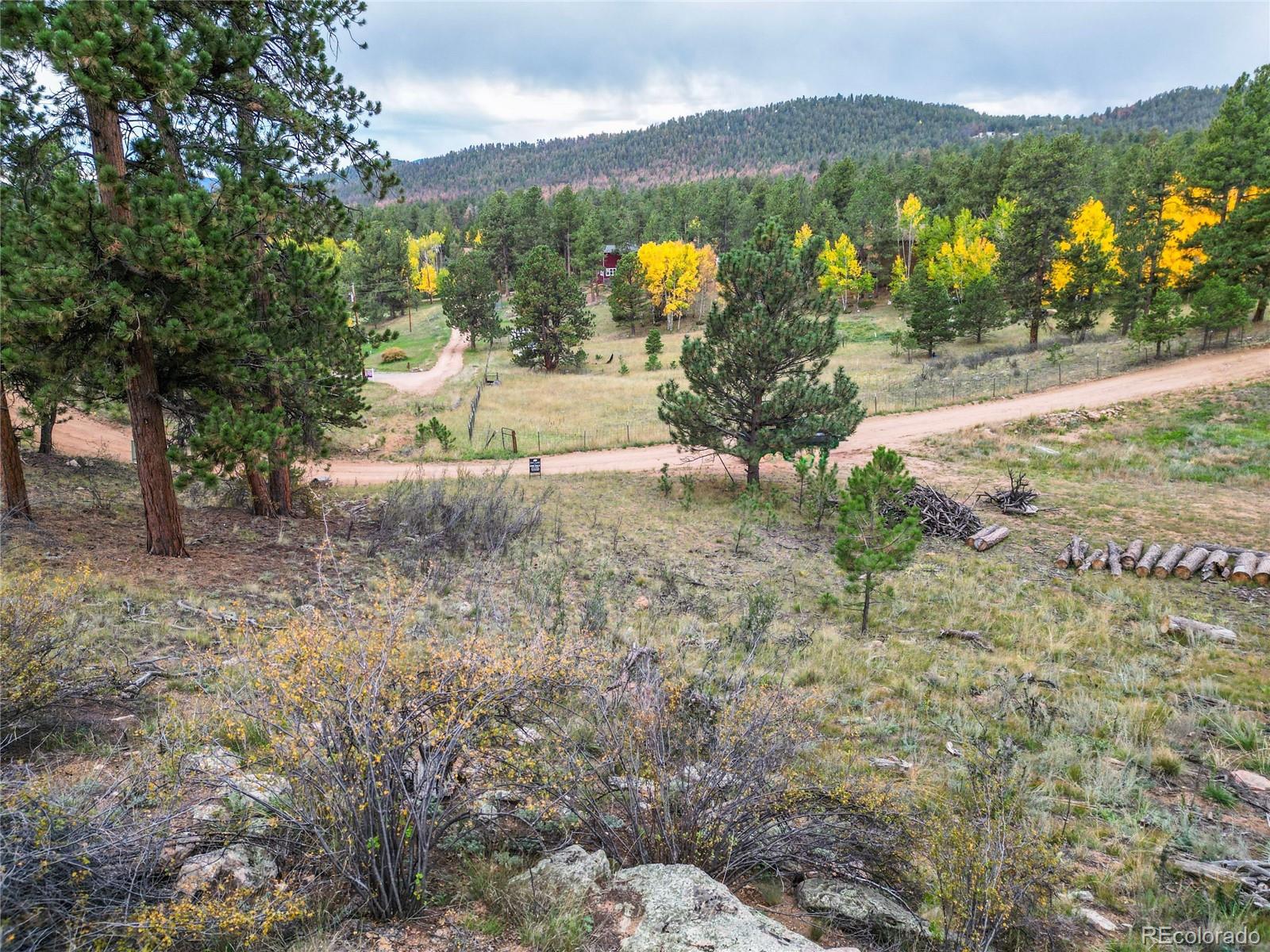 33247 Jenifer Road Pine, CO 80470 - Photo 17 of 20 Gallery Image 17