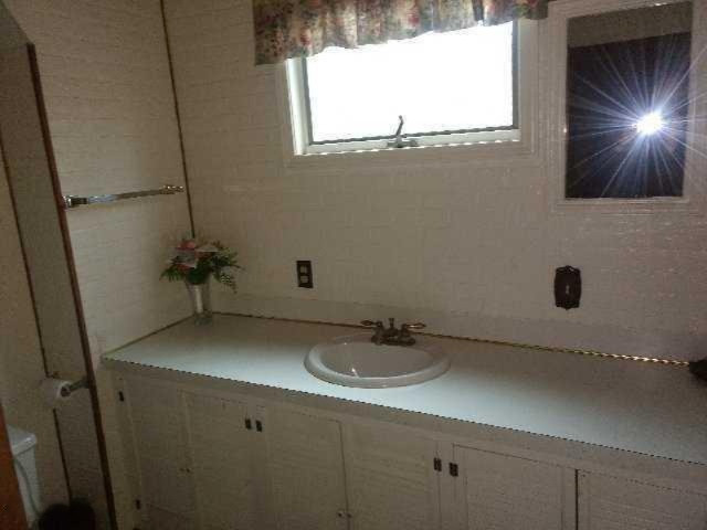 9102 Wilke Road Fremont, MI 49412 - Photo 12 of 21 download (7)